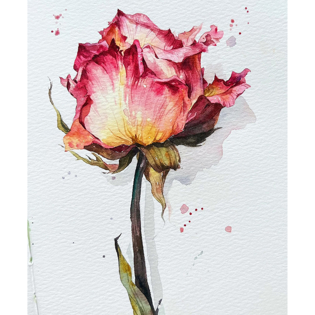 Encounter Flowers Watercolour Painting Kit