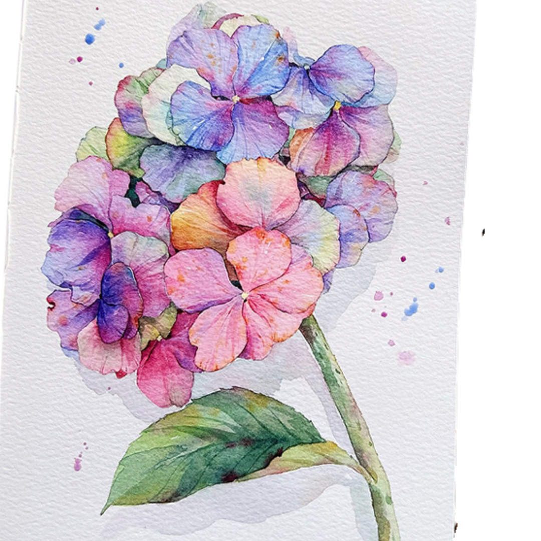 Encounter Flowers Watercolour Painting Kit