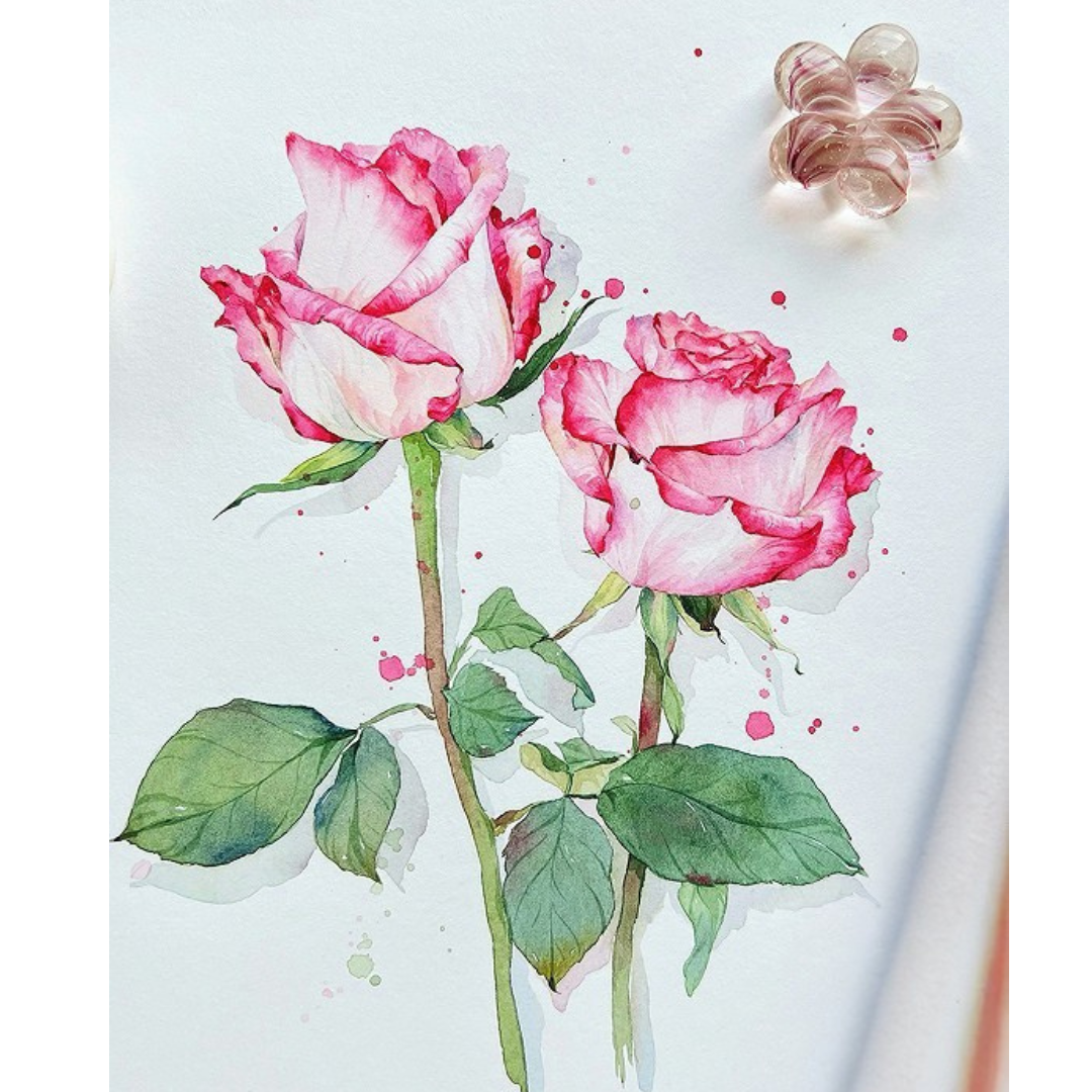 Encounter Flowers Watercolour Painting Kit