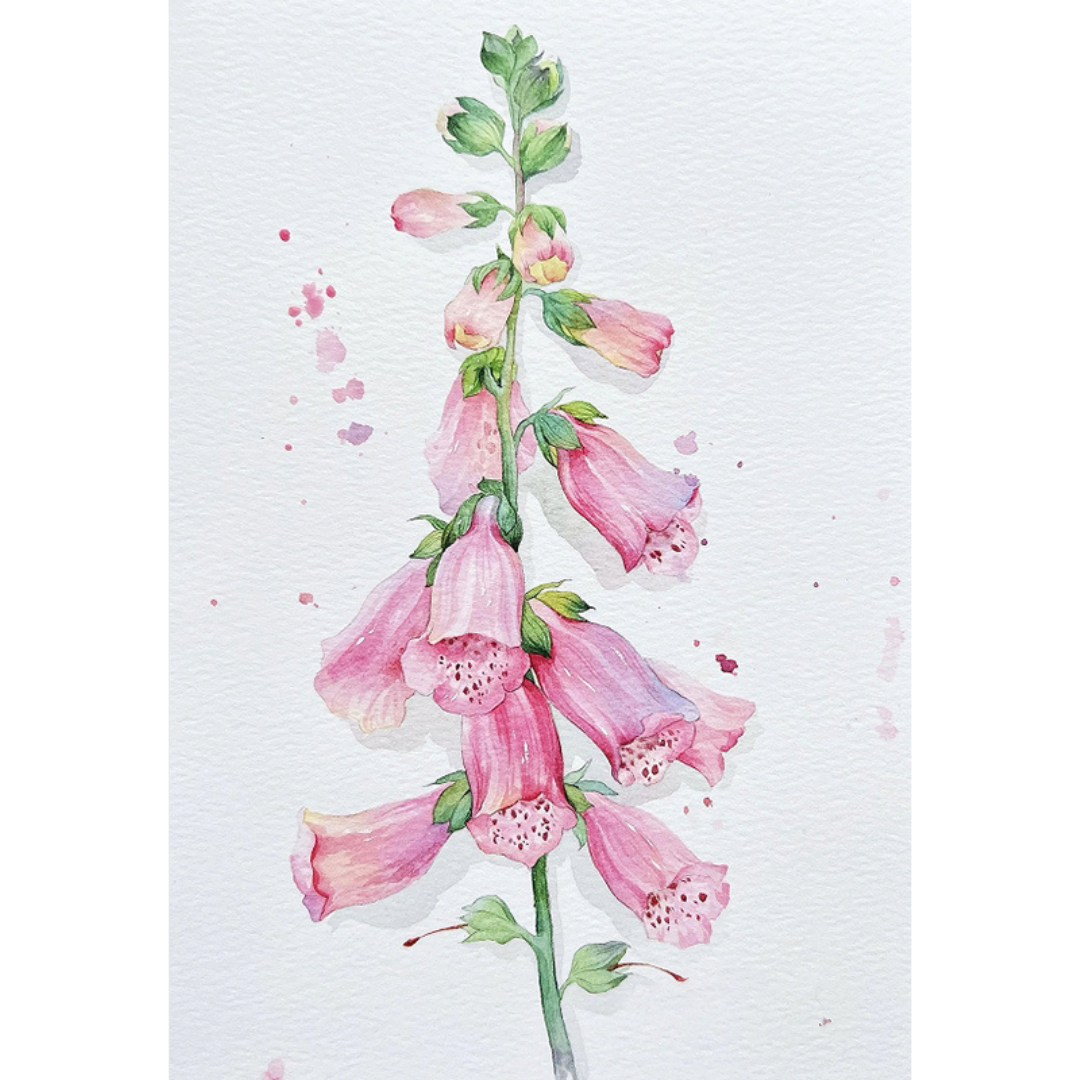 Flower Words Watercolour Painting Kit