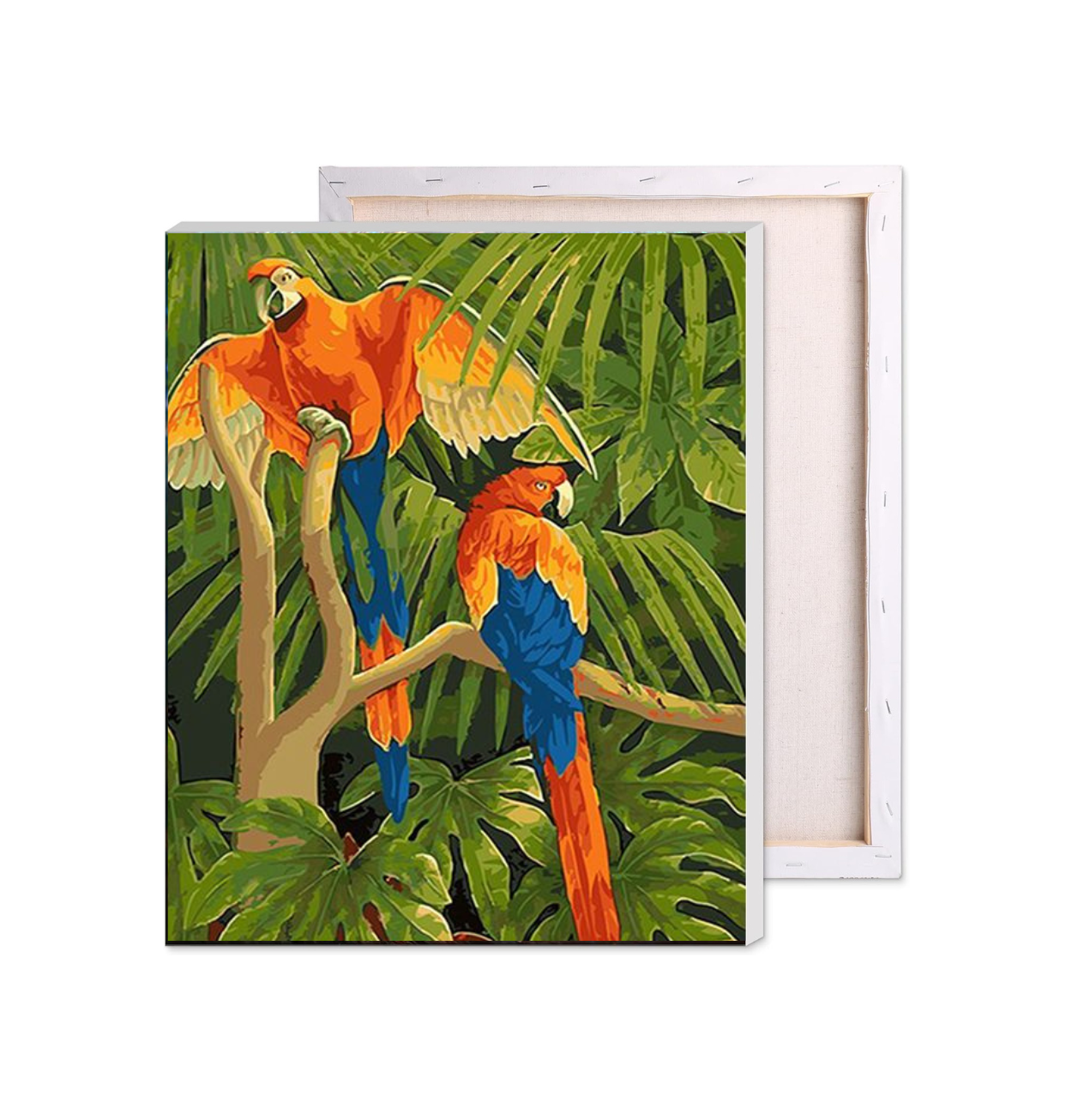 Tropical Parrot Paint by Number Kit