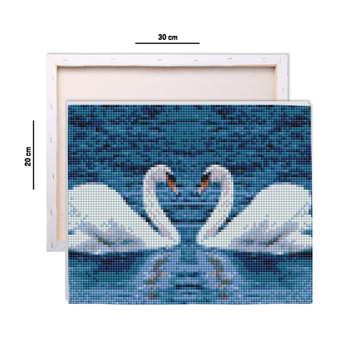 Swan-shine Diamond Art Kit