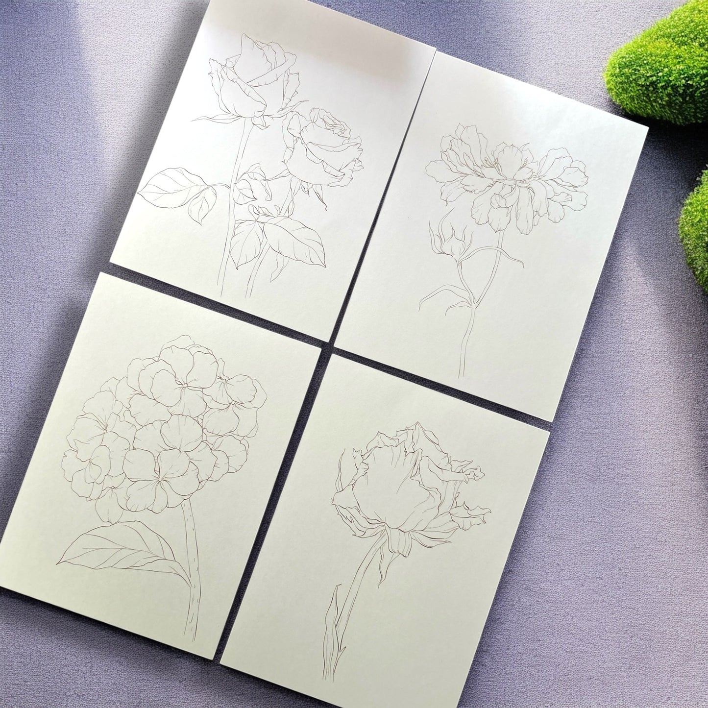 Encounter Flowers Watercolour Painting Kit - Craftmate