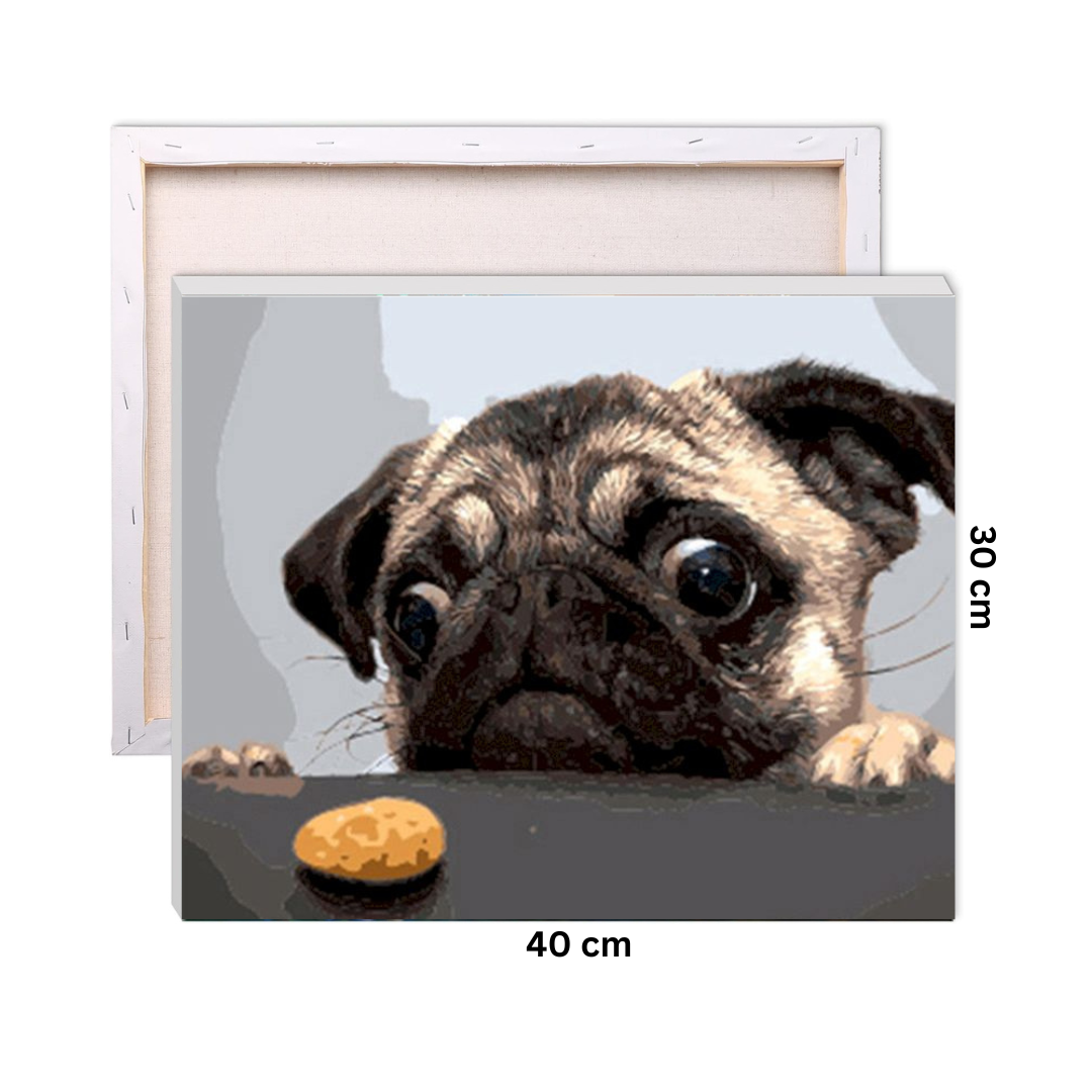 Paws Off My Cookie Paint by Number Kit
