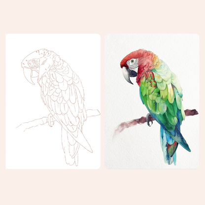 Watercolour Painting Book Kit (Set of 2) - Birds & Butterfly