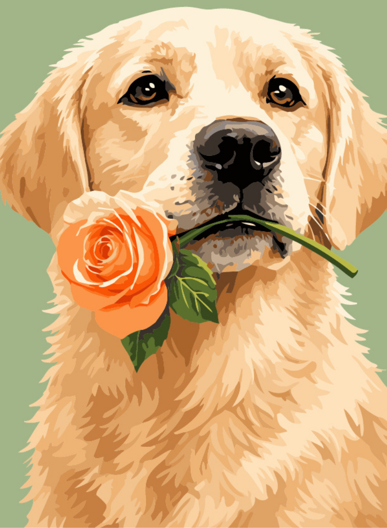 Pawfect Rose Portrait Paint by Number Kit