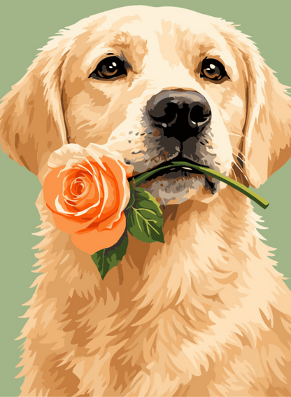 Pawfect Rose Portrait Paint by Number Kit
