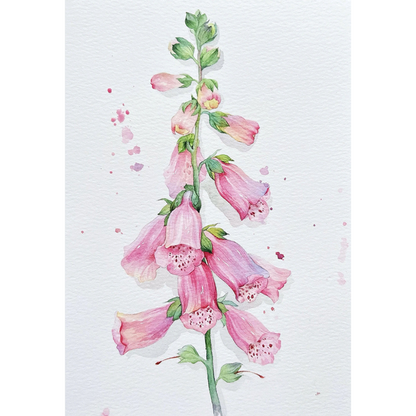 Flower Words Watercolour Painting Kit