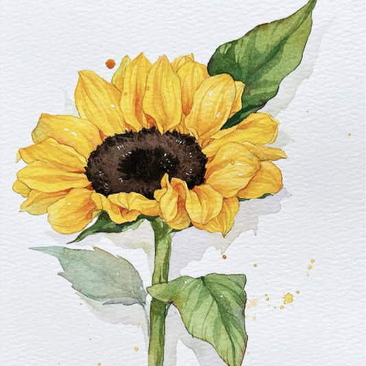 Flower Words Watercolour Painting Kit