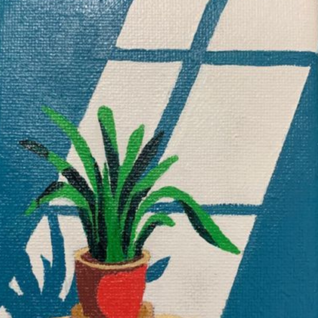 House Plant Paint by Number Ultra Mini Kit (Pack of 4)