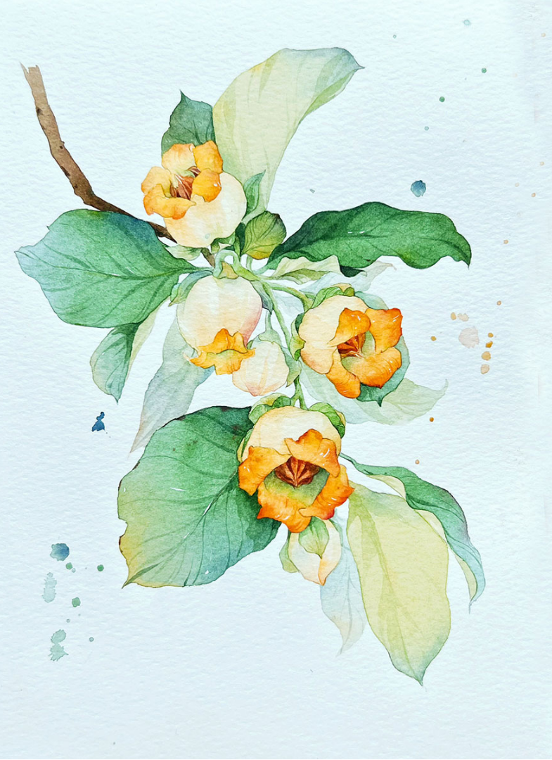 Magical Flowers Watercolour Mini Painting Book