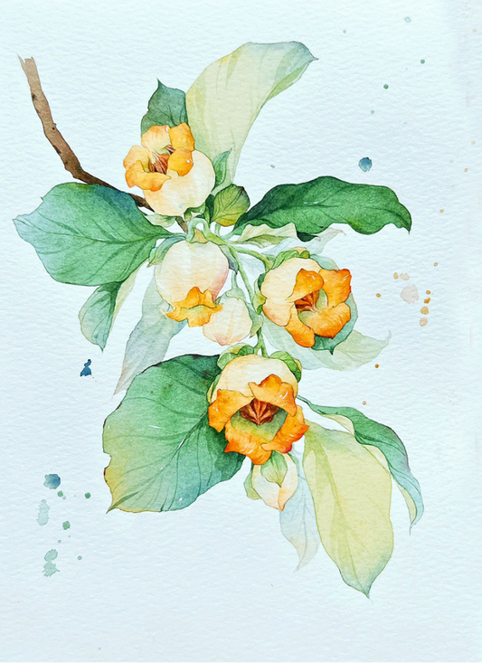 Magical Flowers Watercolour Mini Painting Book