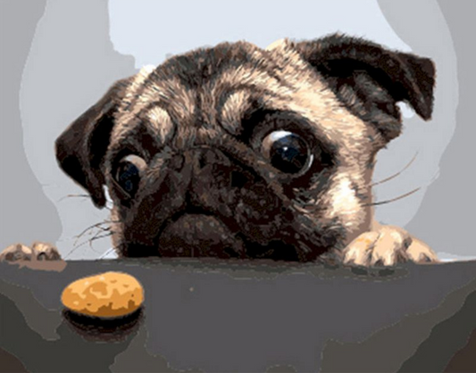 Paws Off My Cookie Paint by Number Kit