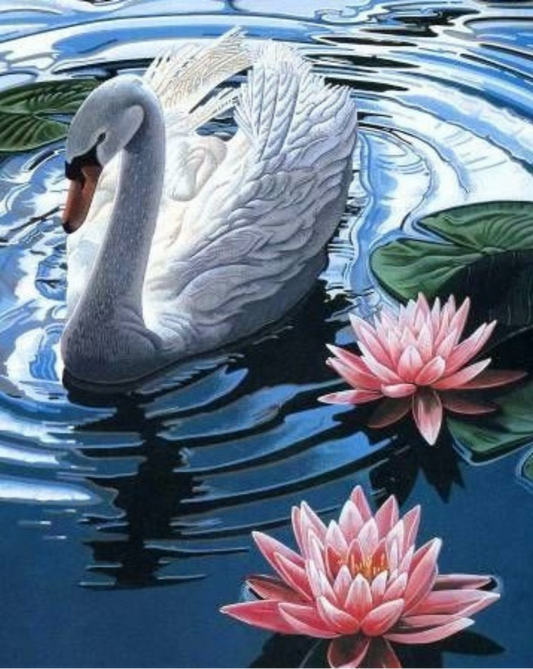 Swan Serenity Paint by Number Kit