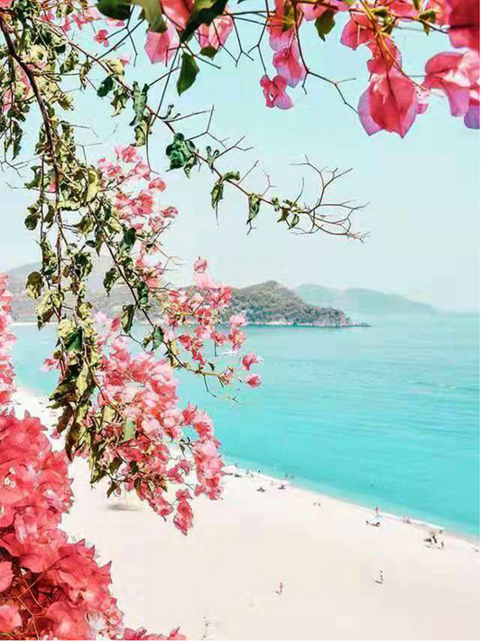 Bougainvillea Escape Paint by Number Kit