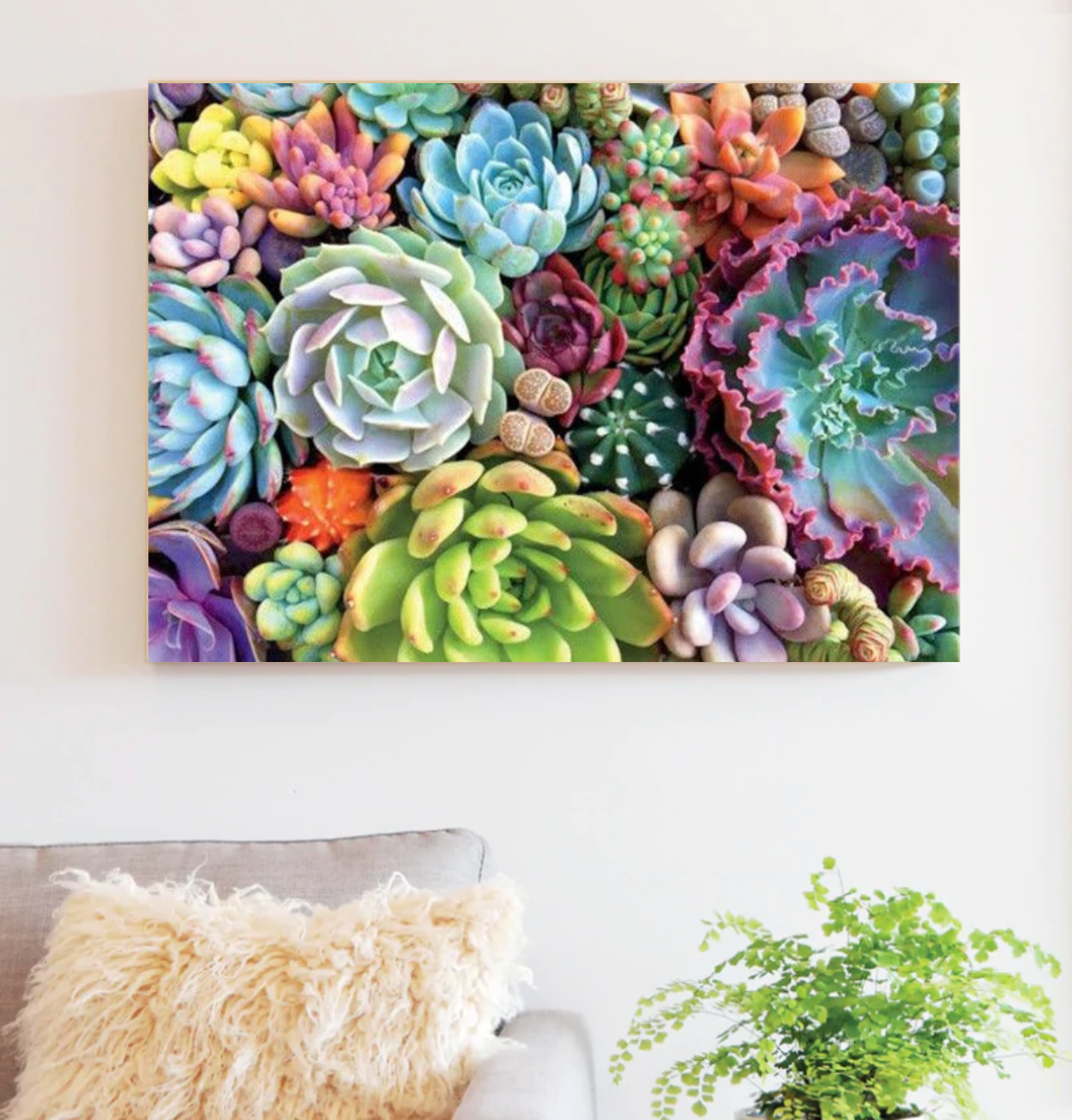 Looking Sharp, Succulents! Paint by Numbers Kit