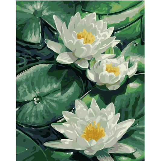 Lovely Lotus Paint by Number Jumbo Kit