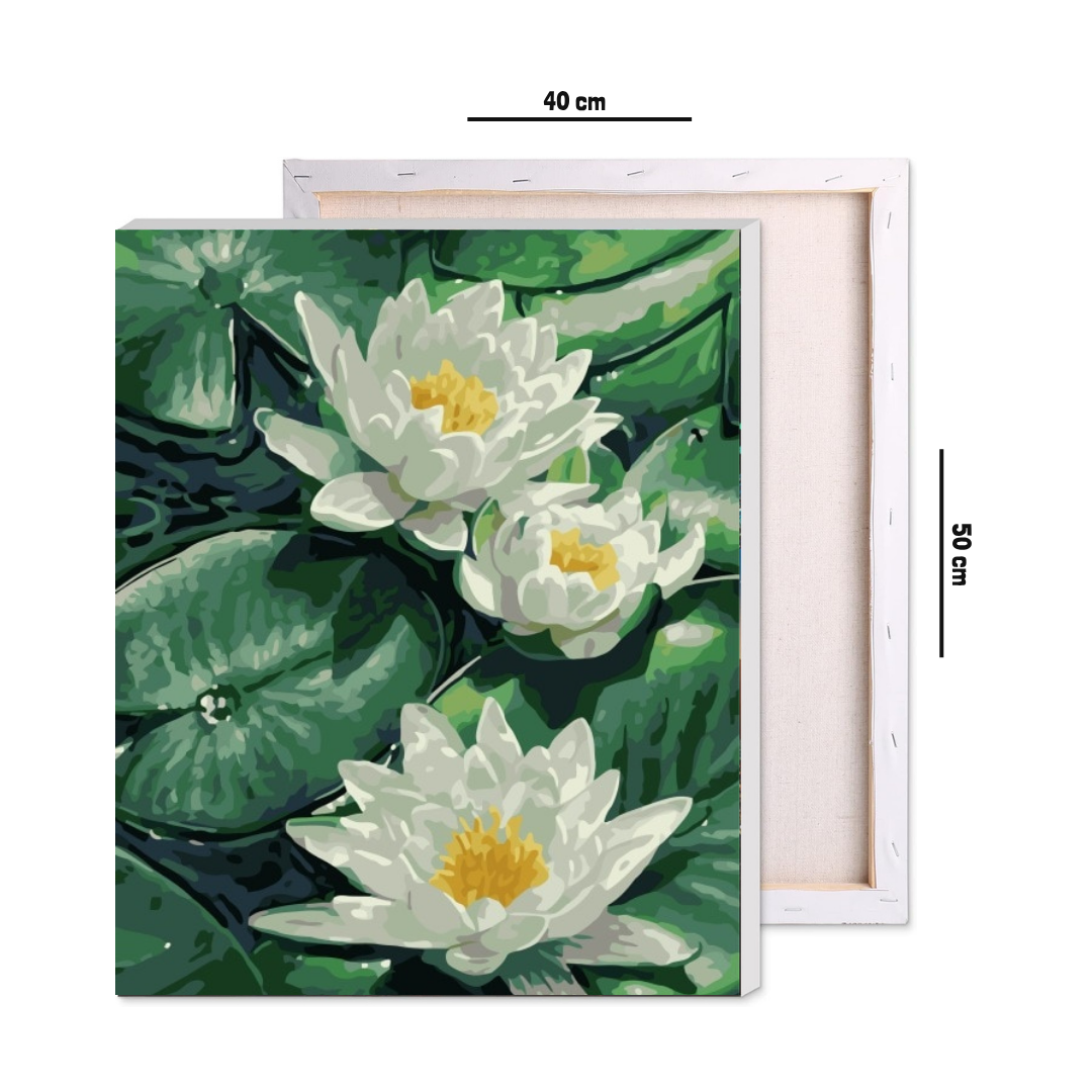 Lovely Lotus Paint by Number Jumbo Kit