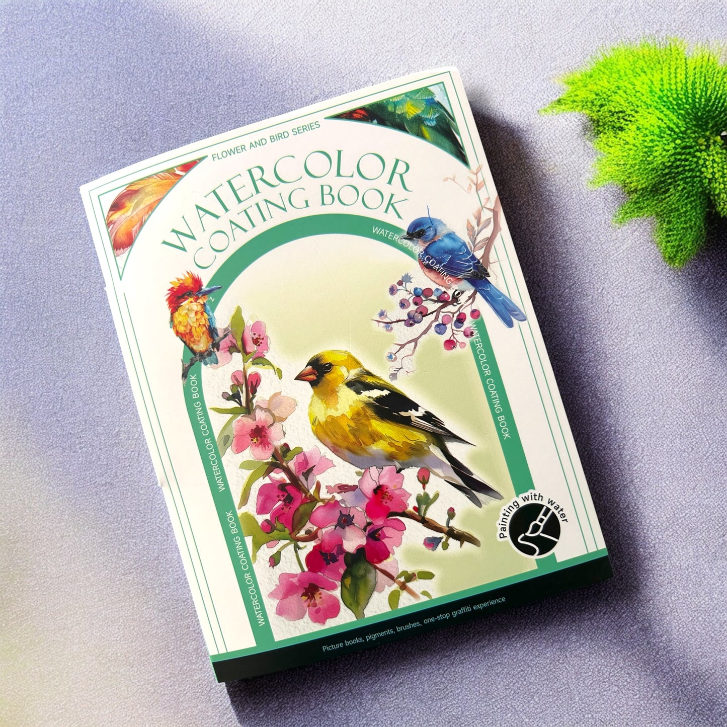 Birds of the World Watercolour Painting Book Kit - Craftmate