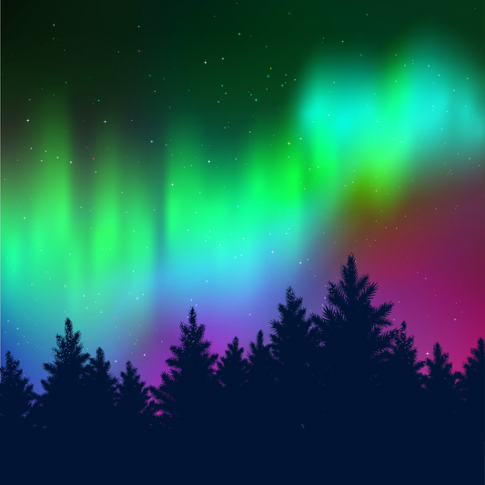 Arctic Glow Paint by Number Mini Kit