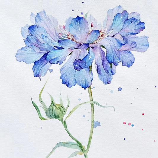Encounter Flowers Watercolour Painting Kit